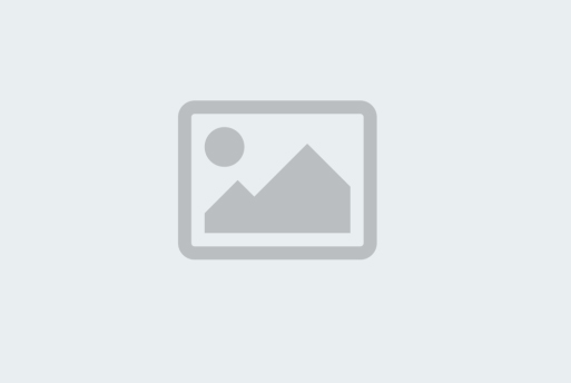 Why Citizenship Status Matters in Estate Planning